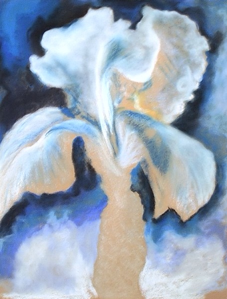 046 Iris Blanc.jpg - Blanc (50x65 cm)